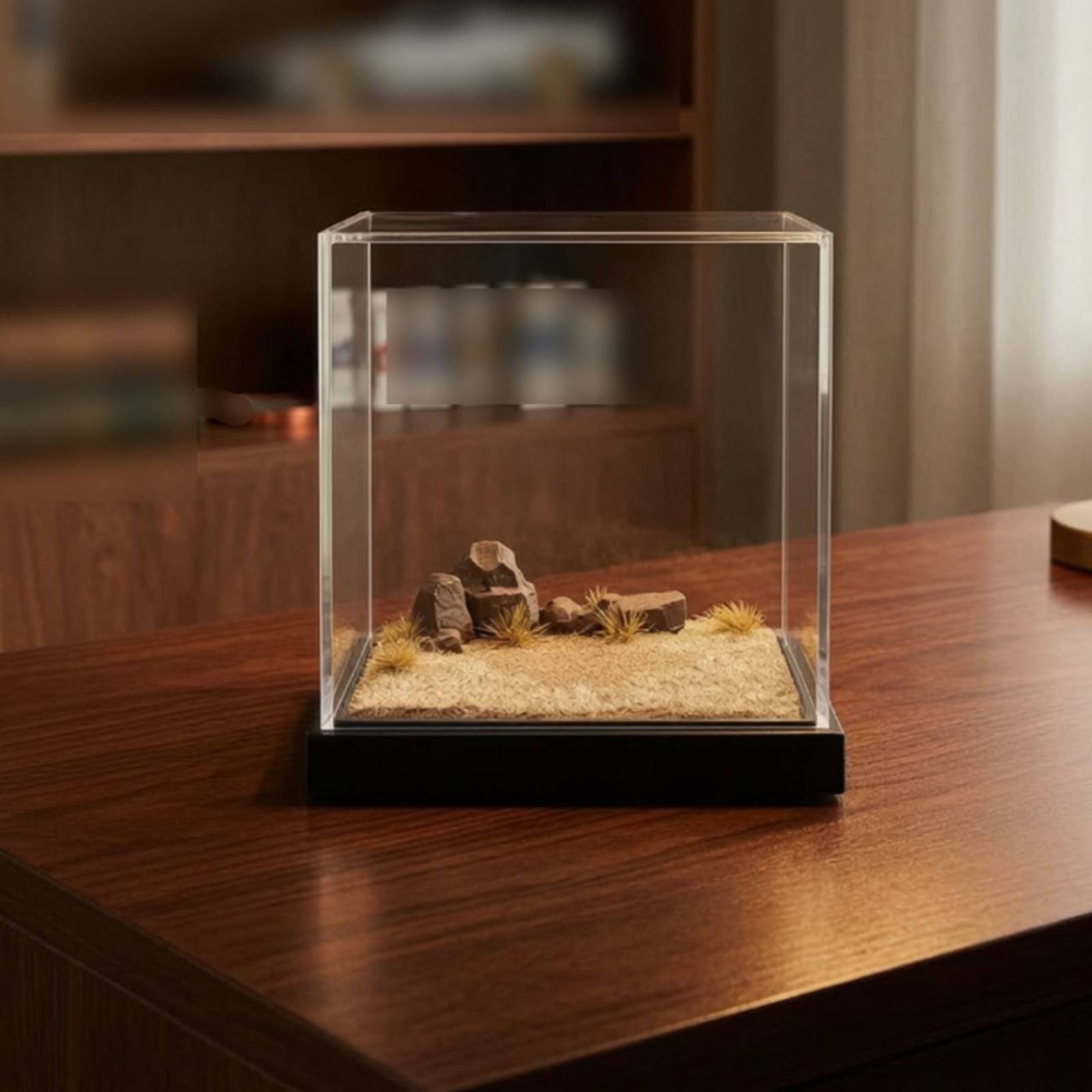 Display Case Acrylic - منصة عرض مصغرة شفافة مع غطاء