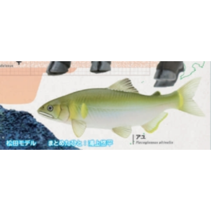 اليابان ايكيمون غاشابون لعبة ا - مراجعة Capsule Toy Gashapon وسعره